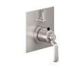 Square Trim Plate,  Lever Handle, 1 Smaller Control